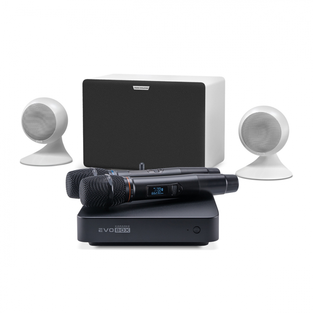 караоке-комплект EVOBOX Classic + EvoSound Sphere 2.1 в Улан-Удэ