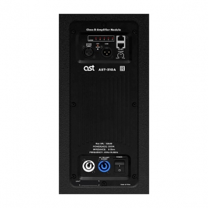 Активная акустическая система AST-310A в Улан-Удэ